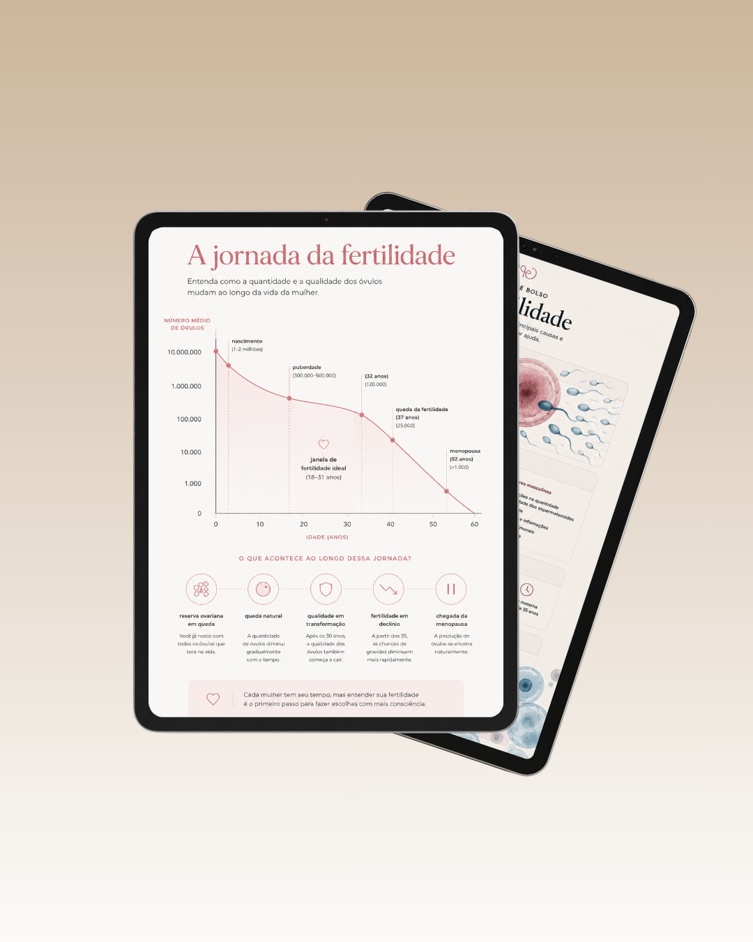 Página de infográfico sobre fertilidade do guia